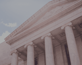 Government Organizations